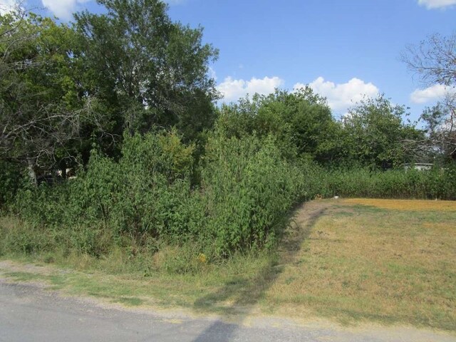 0 Louise St, Navasota TX, 77868 land for sale