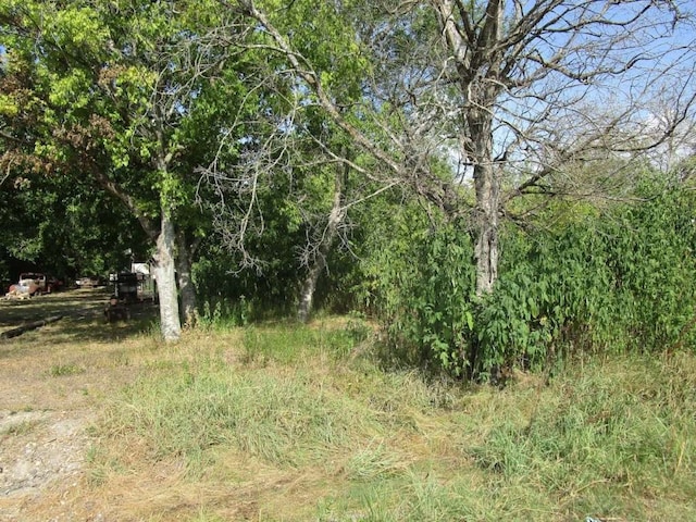 Listing photo 2 for 0 Louise St, Navasota TX 77868