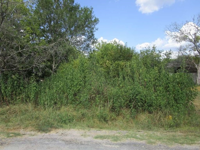 Listing photo 3 for 0 Louise St, Navasota TX 77868