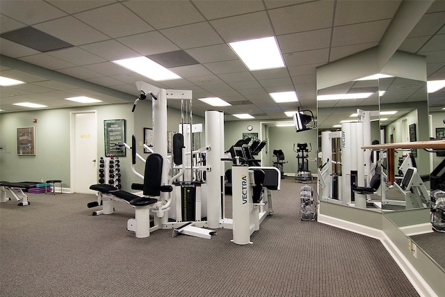 workout area featuring a drop ceiling and carpet