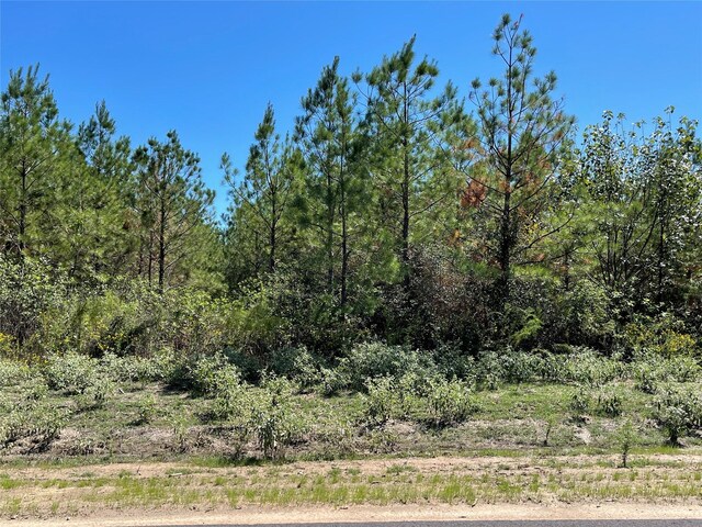 15702 Ridge Rock Rd, Willis, TX 77378