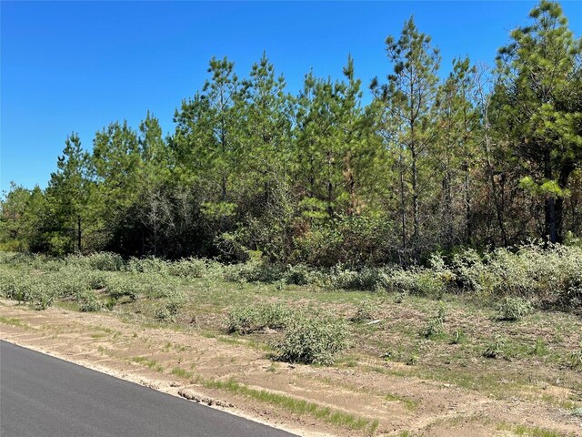 15702 Ridge Rock Rd, Willis, TX 77378