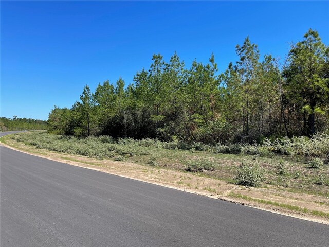 15702 Ridge Rock Rd, Willis, TX 77378