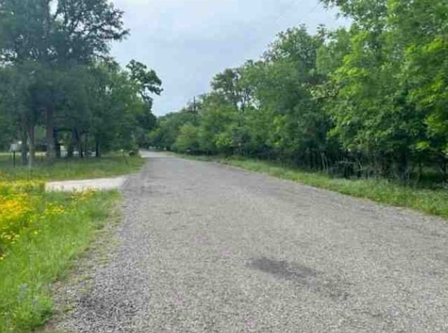 435 Horseshoe Dr, Kingsland, TX 78639 - photo 4