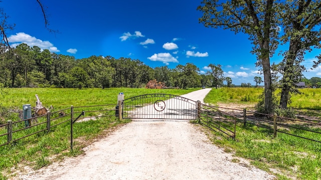 Listing photo 2 for TBD Brushy Creek Dr, Onalaska TX 77360