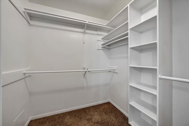 walk in closet with carpet