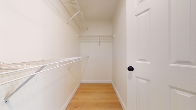 spacious closet with light wood-type flooring