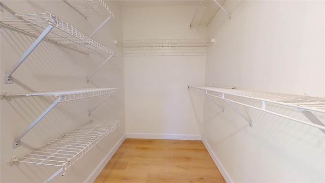 spacious closet featuring light hardwood / wood-style floors