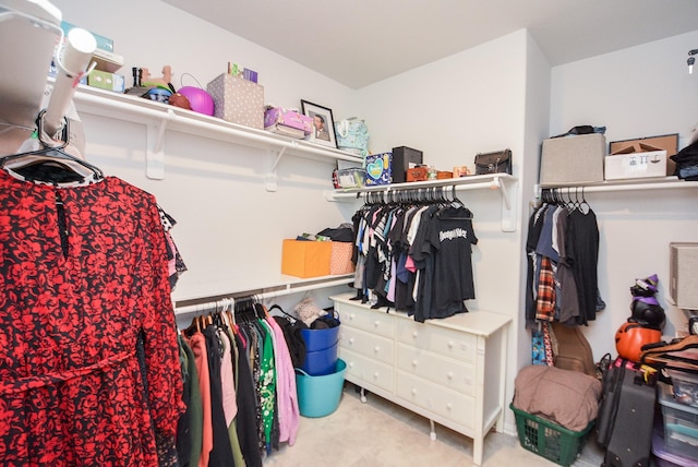 spacious closet with carpet floors