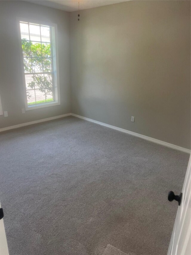 empty room featuring carpet flooring