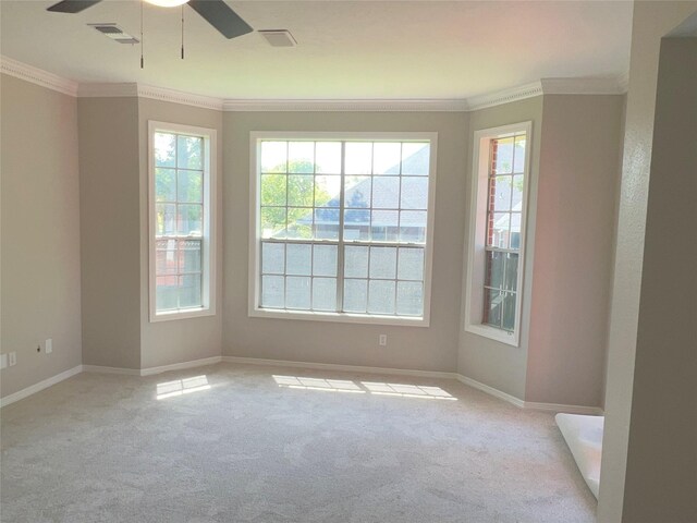 unfurnished room with carpet, ceiling fan, and a wealth of natural light