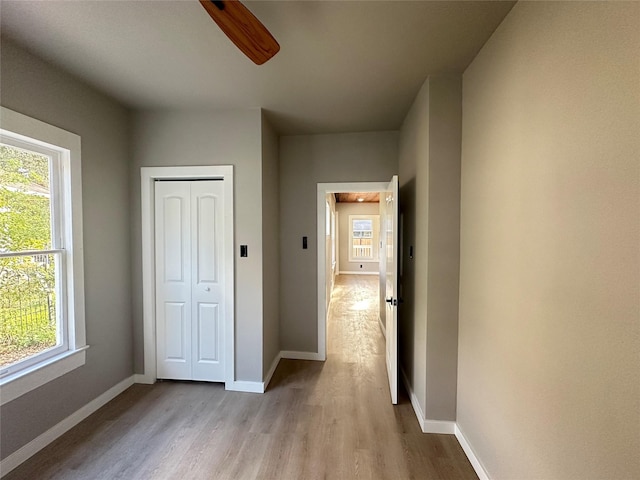 hall featuring light hardwood / wood-style flooring and a healthy amount of sunlight