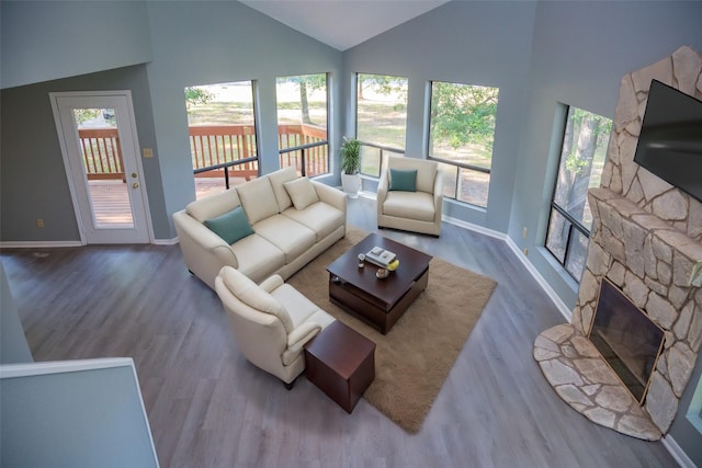 living room featuring lofted ceiling, a fireplace, and wood-type flooring