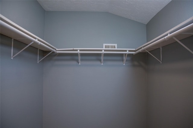 spacious closet with lofted ceiling