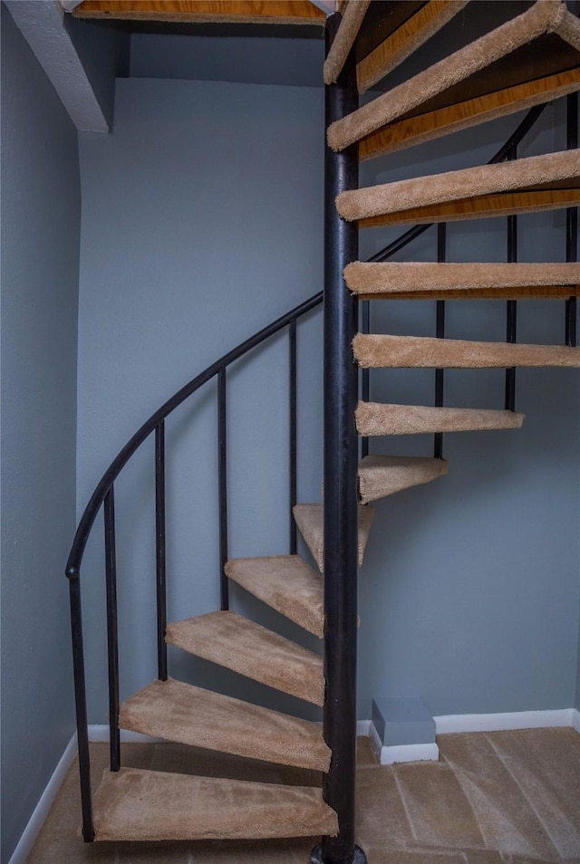 stairway featuring carpet floors