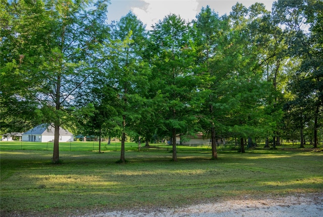 exterior space with a yard