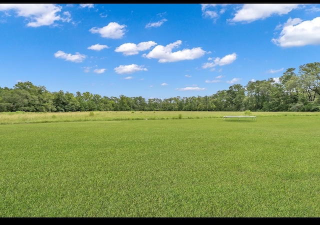 1368 Fm 247th Rd, Huntsville, TX 77320 - photo 41