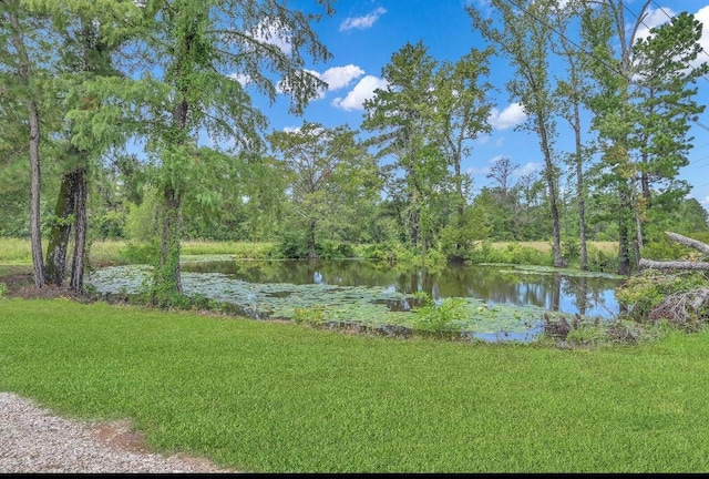 1368 Fm 247th Rd, Huntsville, TX 77320 - photo 49
