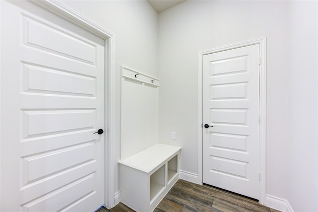 mudroom with dark wood-type flooring