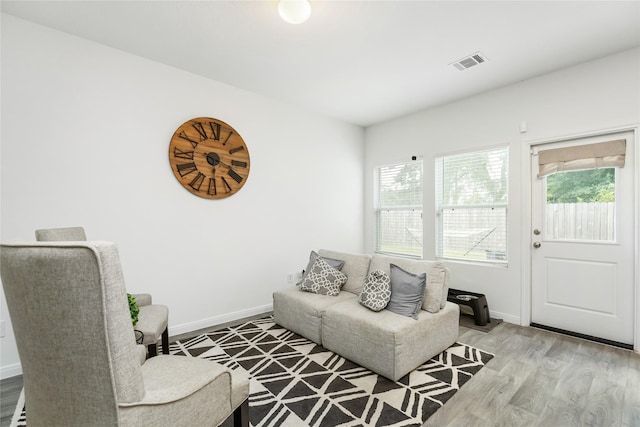 living room featuring wood-type flooring