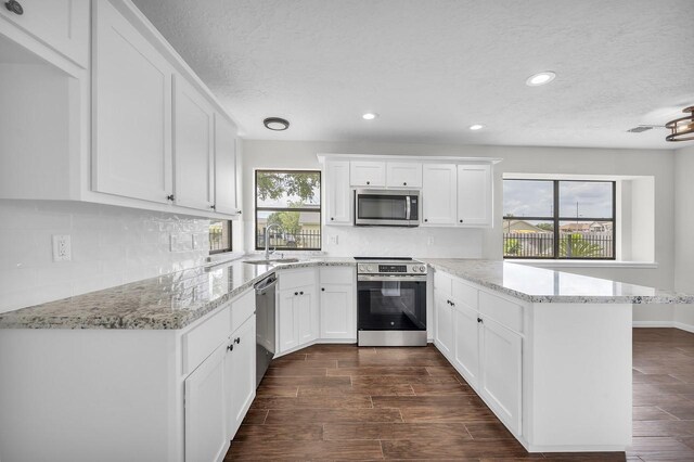 kitchen featuring dark wood-type flooring, appliances with stainless steel finishes, a peninsula, and a healthy amount of sunlight