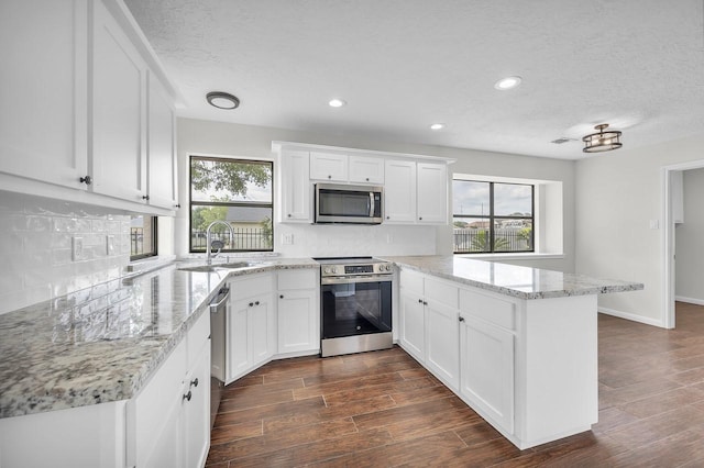 kitchen with decorative backsplash, a healthy amount of sunlight, a peninsula, and stainless steel appliances