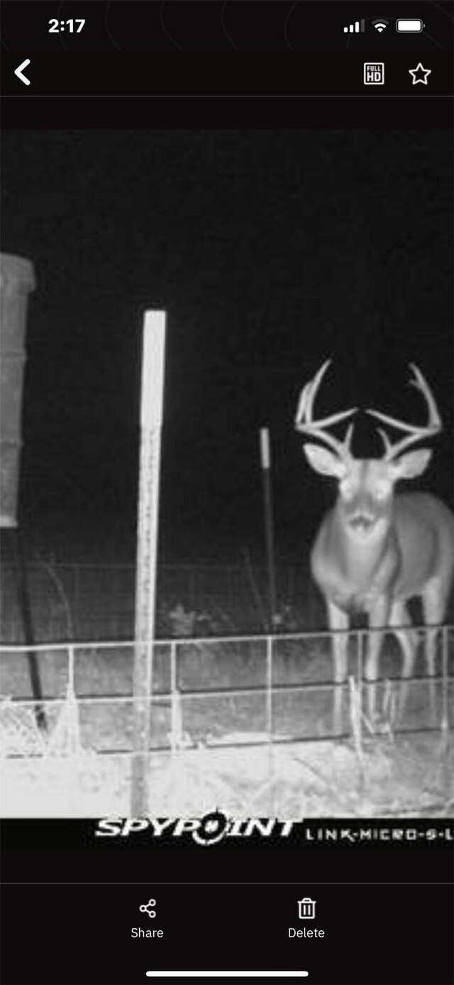0000 N Mcgee Bend Loop, Groveton, TX 75845