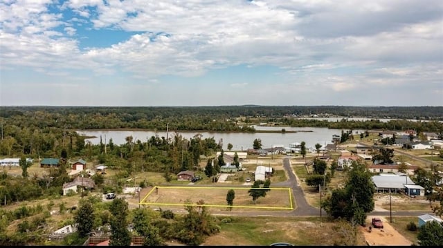 170 Holly Pond, Onalaska, TX 77360