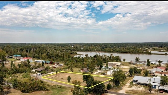 170 Holly Pond, Onalaska, TX 77360