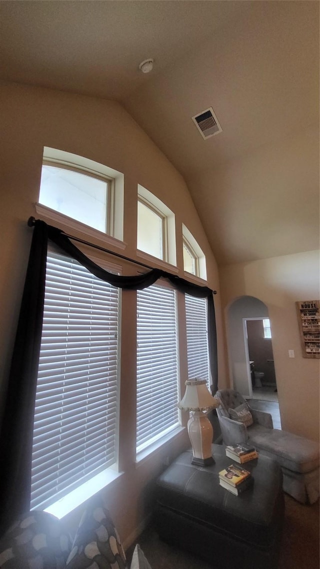 living room featuring vaulted ceiling