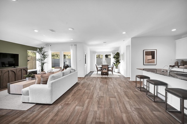 living room with dark wood-type flooring and sink