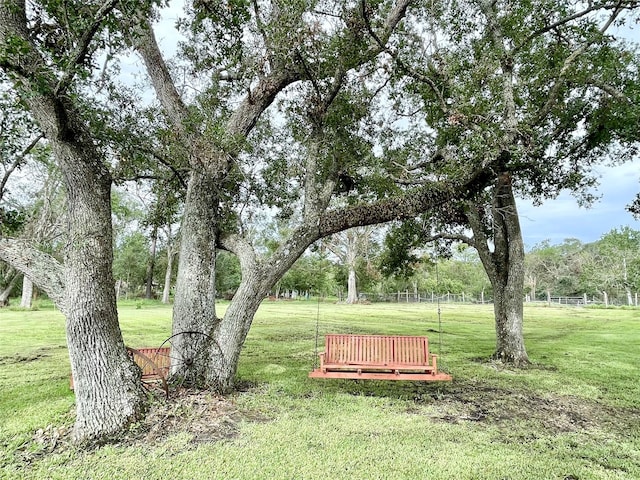 view of community with a yard