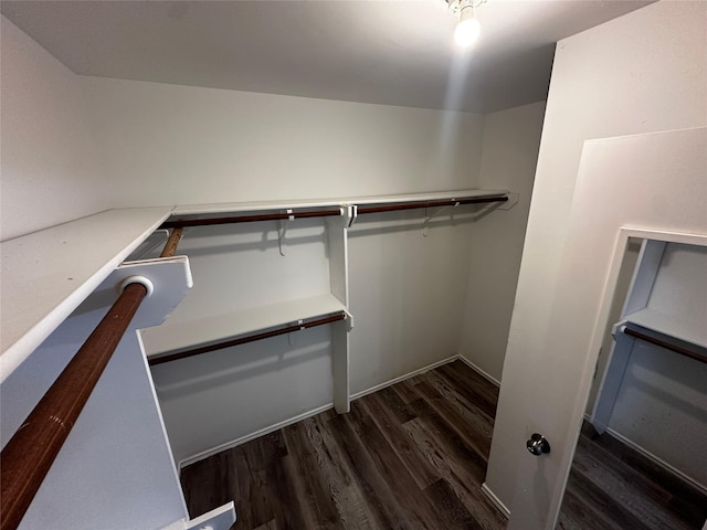 walk in closet with dark hardwood / wood-style flooring