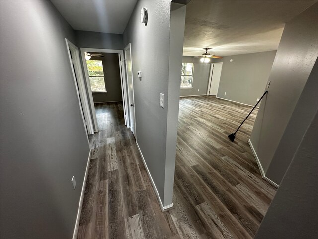 hallway featuring wood-type flooring