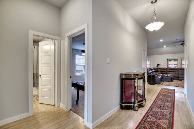 hall with light hardwood / wood-style flooring and a healthy amount of sunlight