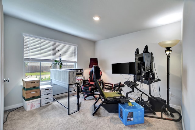 exercise area featuring light carpet