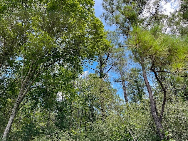 0 Fm 1136, Orange, TX 77632 - photo 4