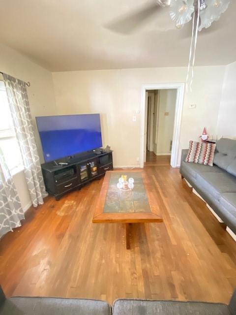 living room with ceiling fan and wood-type flooring