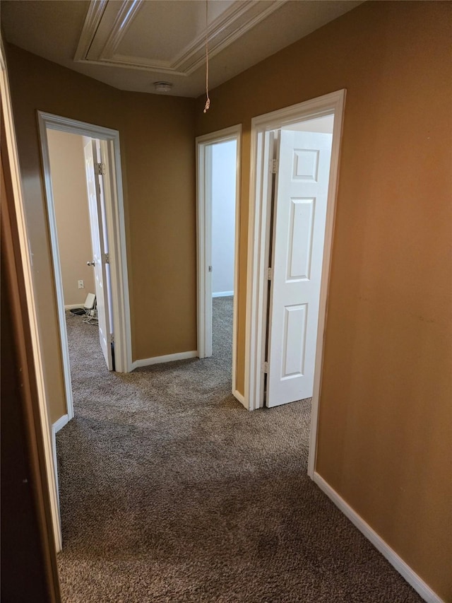 hallway with carpet flooring