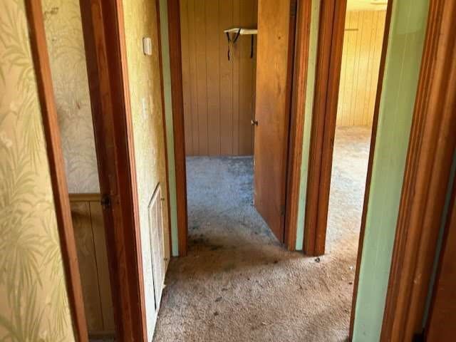 hallway with wood walls and carpet floors