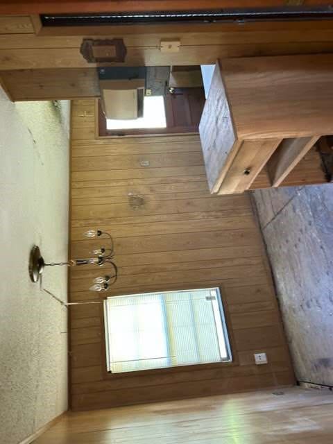 doorway to outside with wood-type flooring and a wealth of natural light