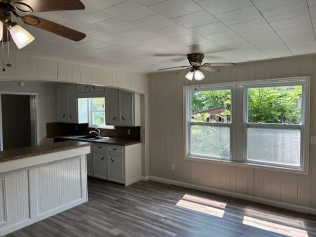 kitchen featuring sink, a wealth of natural light, ceiling fan, and dark hardwood / wood-style floors