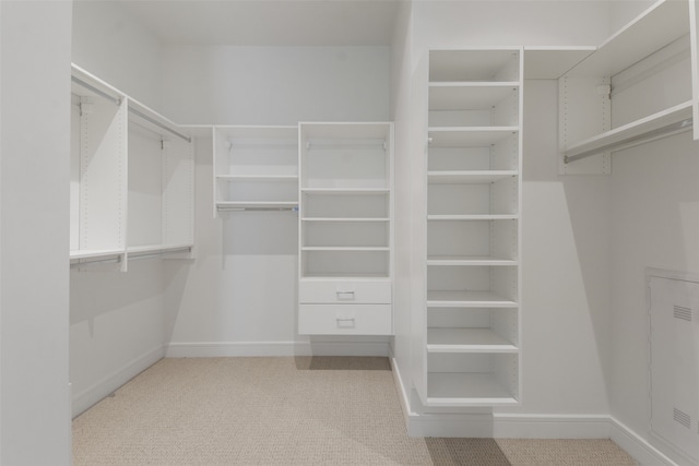 walk in closet with light colored carpet