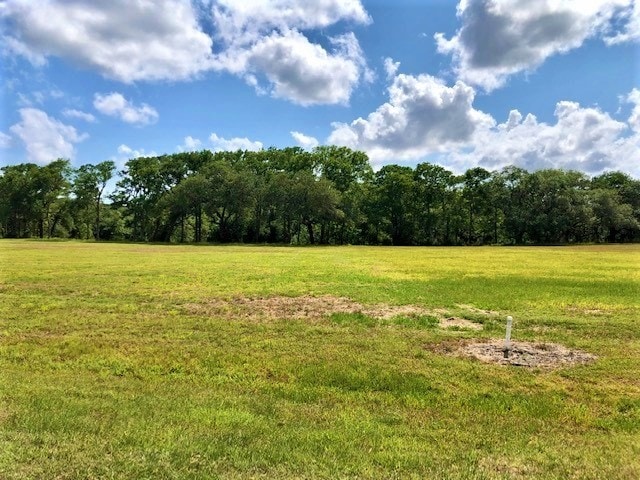 223 River Tree Dr, Palacios TX, 77465 land for sale