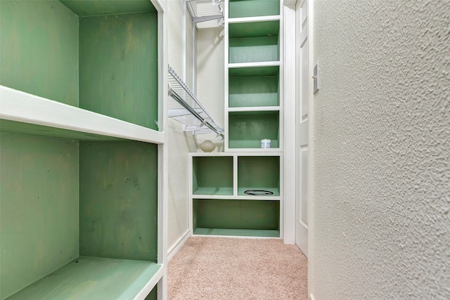 spacious closet with carpet