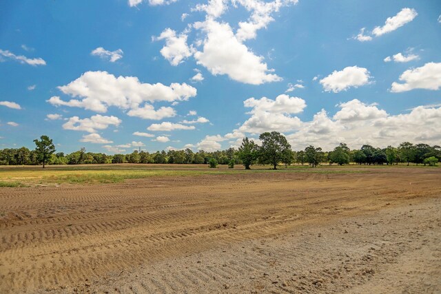 2076 Stallion Lakes Ave, Hockley, TX 77447