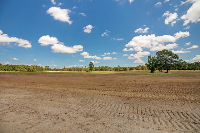 2076 Stallion Lakes Ave, Hockley, TX 77447