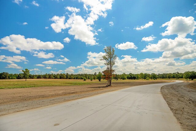 2076 Stallion Lakes Ave, Hockley, TX 77447
