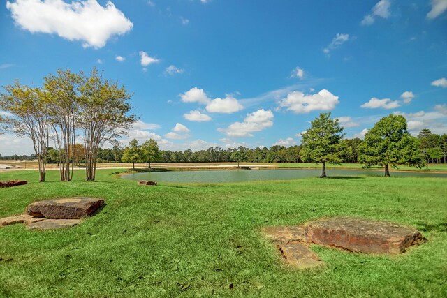 2076 Stallion Lakes Ave, Hockley, TX 77447