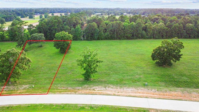 2076 Stallion Lakes Ave, Hockley, TX 77447